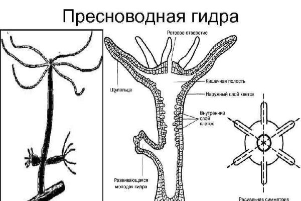 Кракен маркет kr2web in