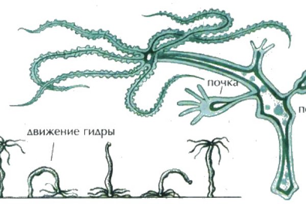 Как зайти на кракен дарк